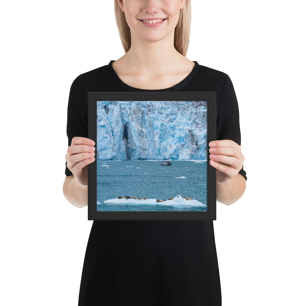 Glacier and seals Alaska Framed poster