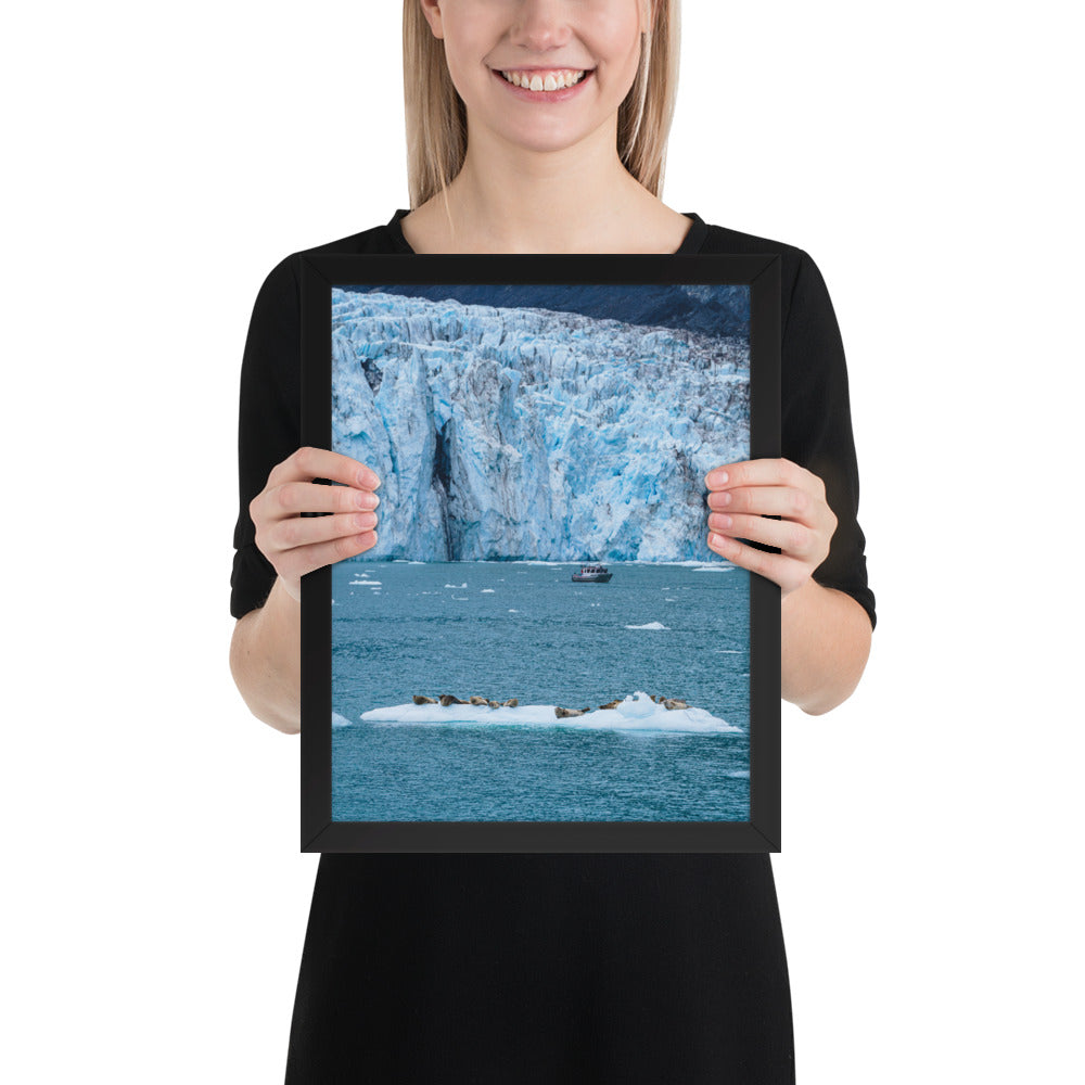 Glacier and seals Alaska Framed poster