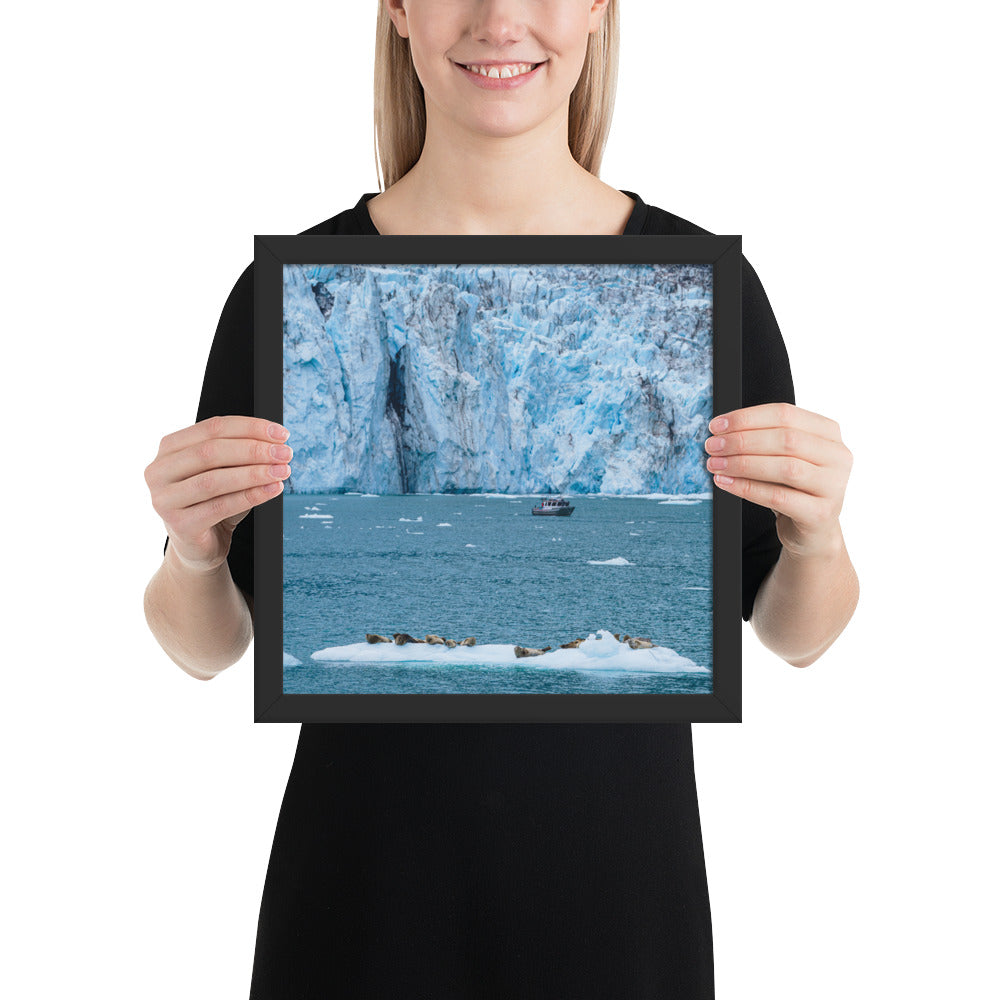 Glacier and seals Alaska Framed poster