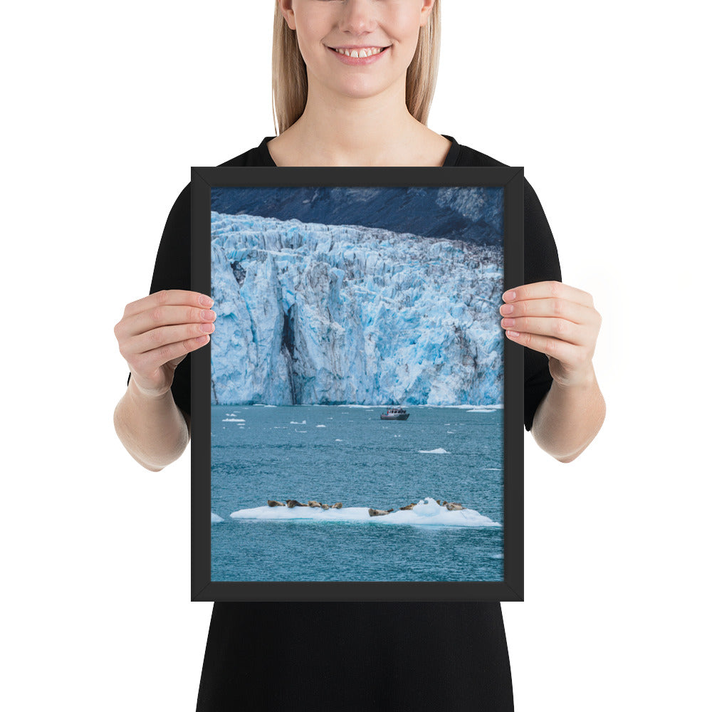 Glacier and seals Alaska Framed poster