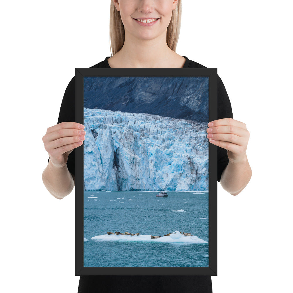 Glacier and seals Alaska Framed poster