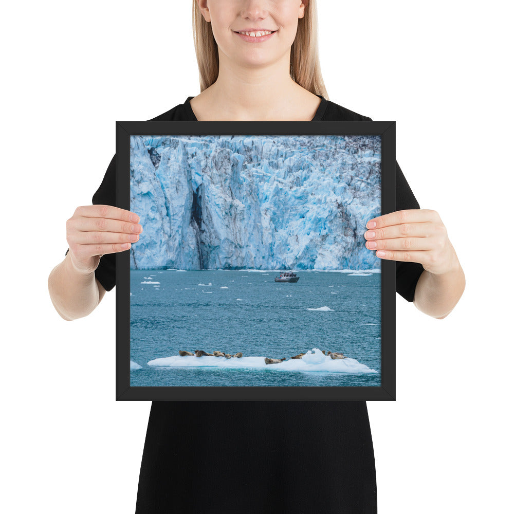 Glacier and seals Alaska Framed poster