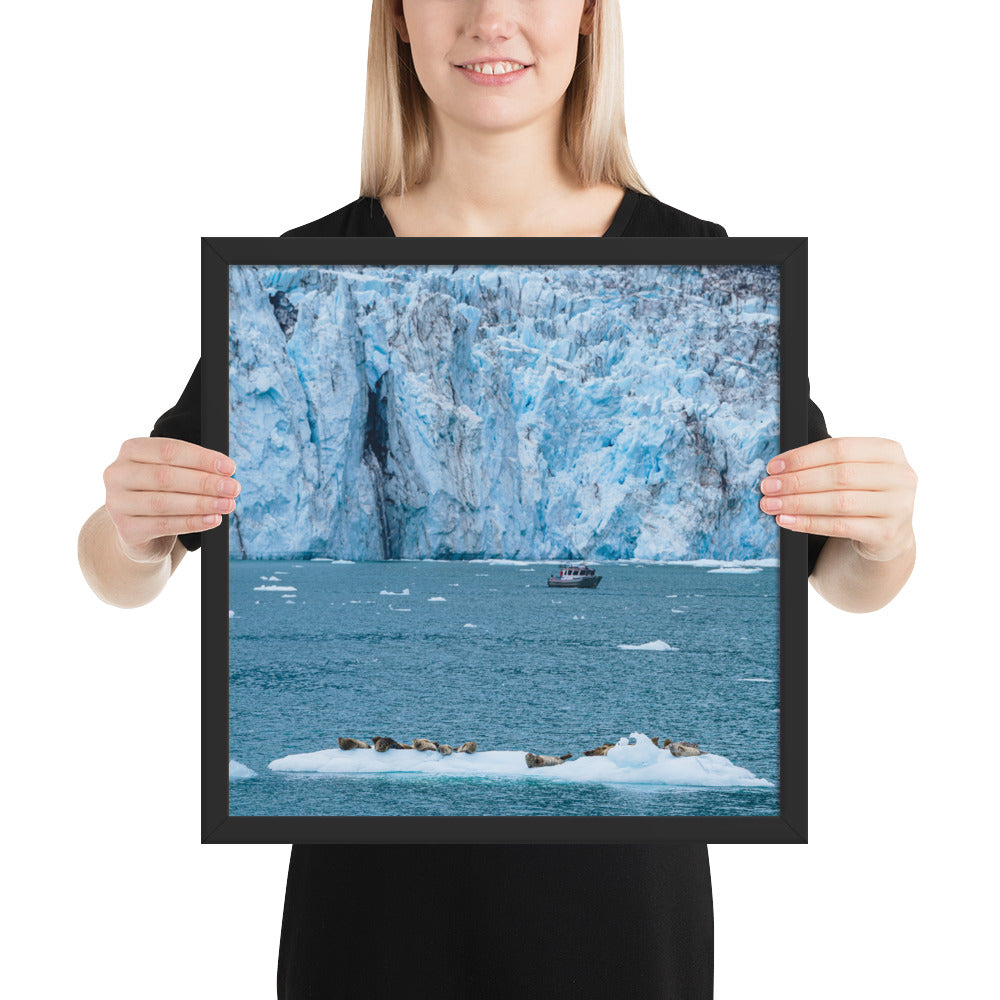 Glacier and seals Alaska Framed poster