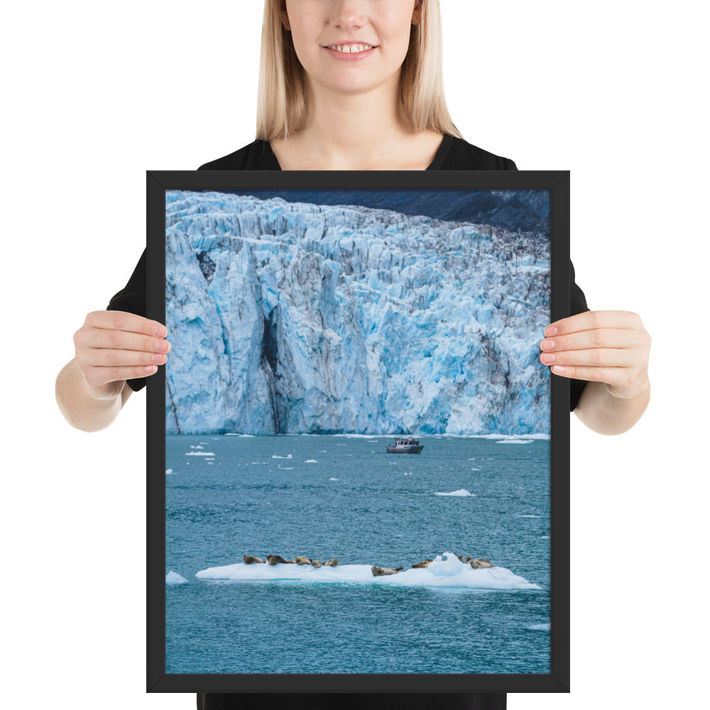 Glacier and seals Alaska Framed poster