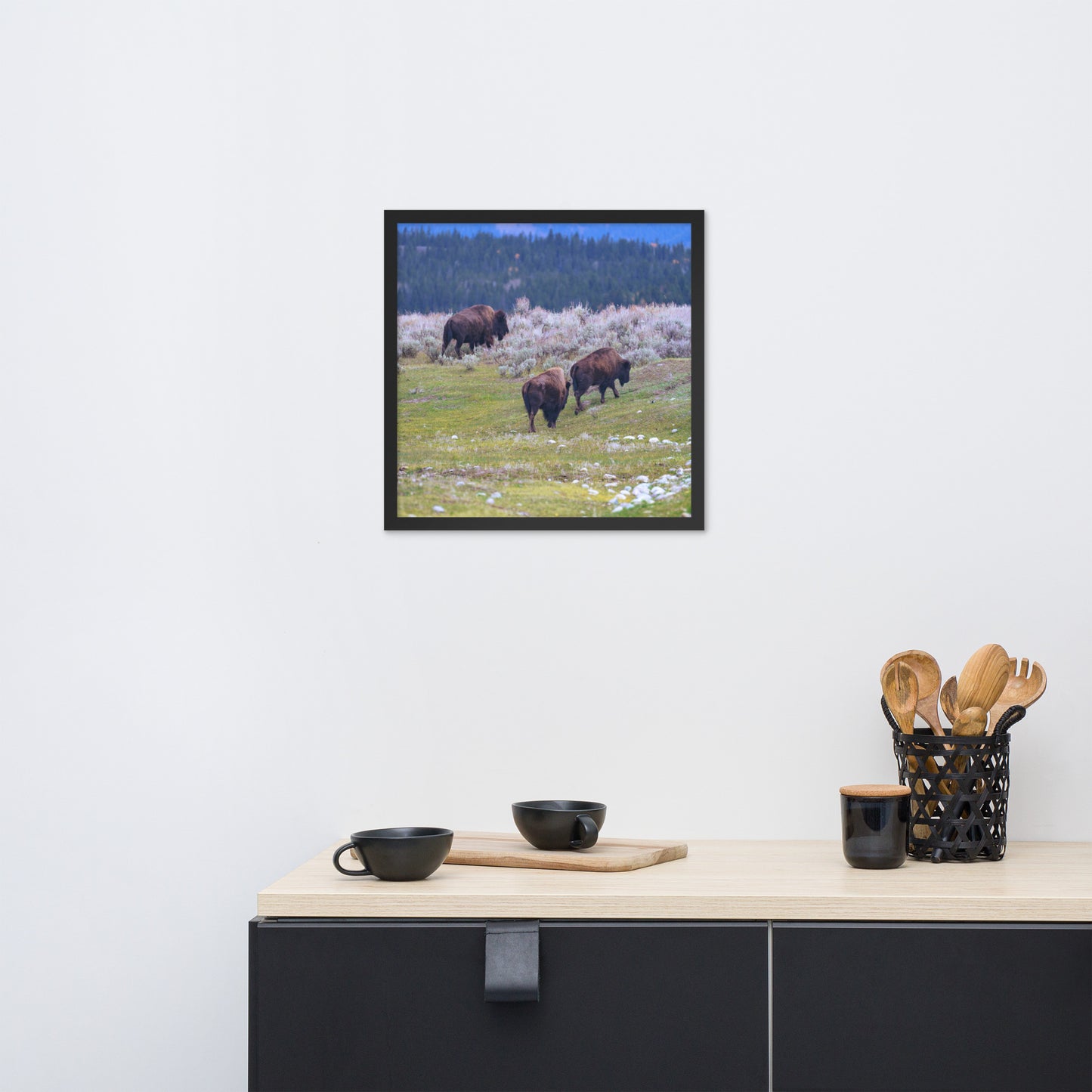 Yellowstone bison Framed poster