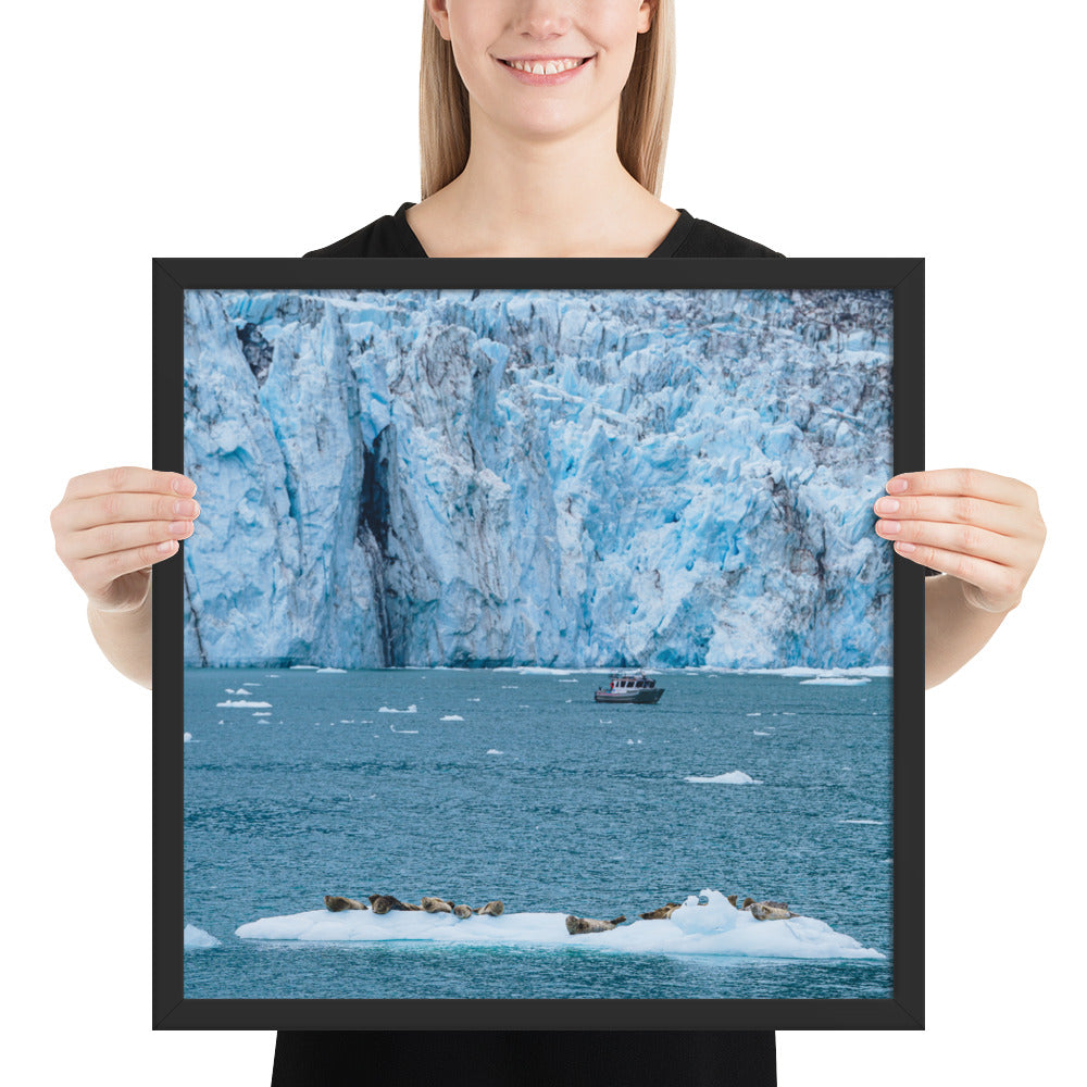 Glacier and seals Alaska Framed poster