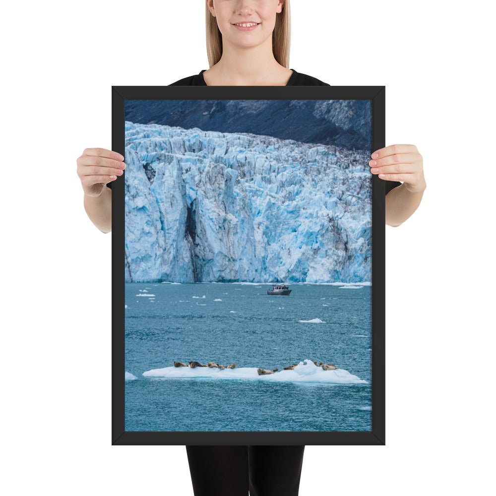 Glacier and seals Alaska Framed poster