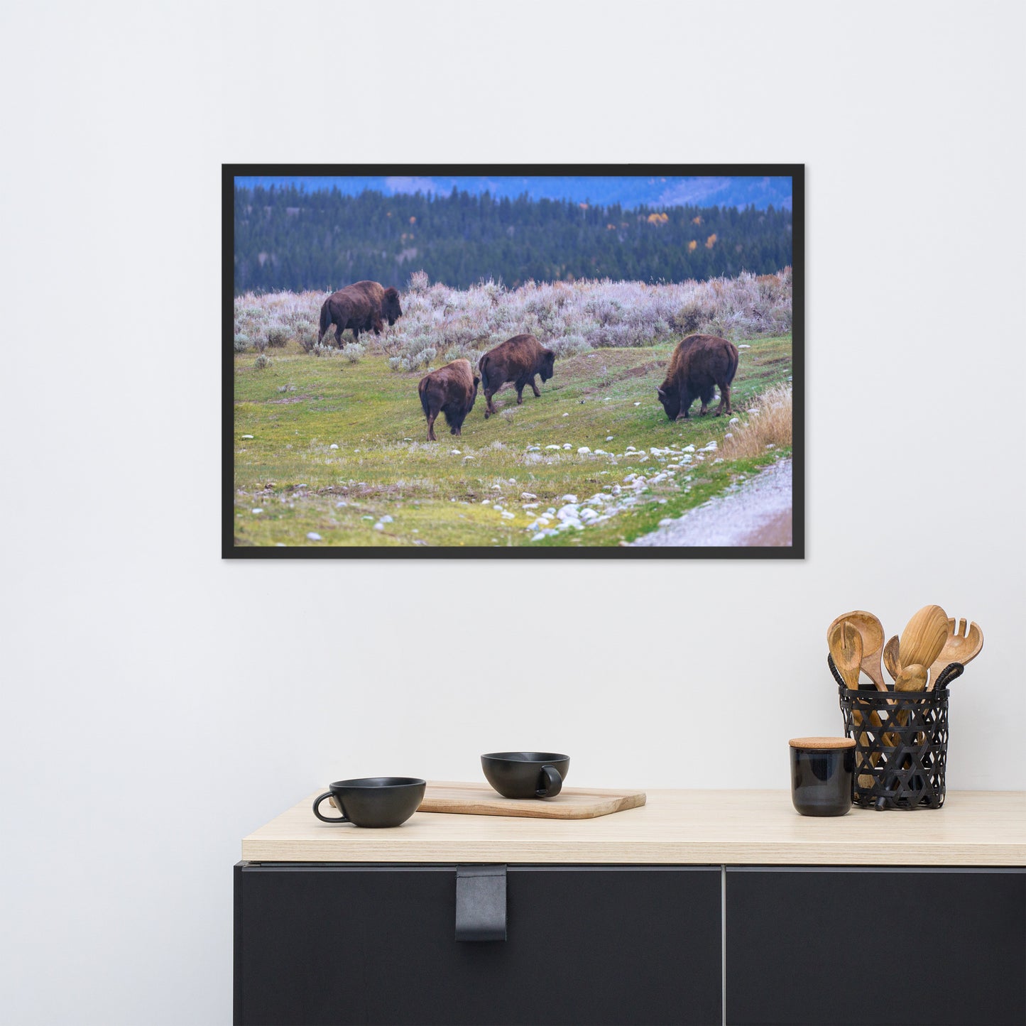 Yellowstone bison Framed poster