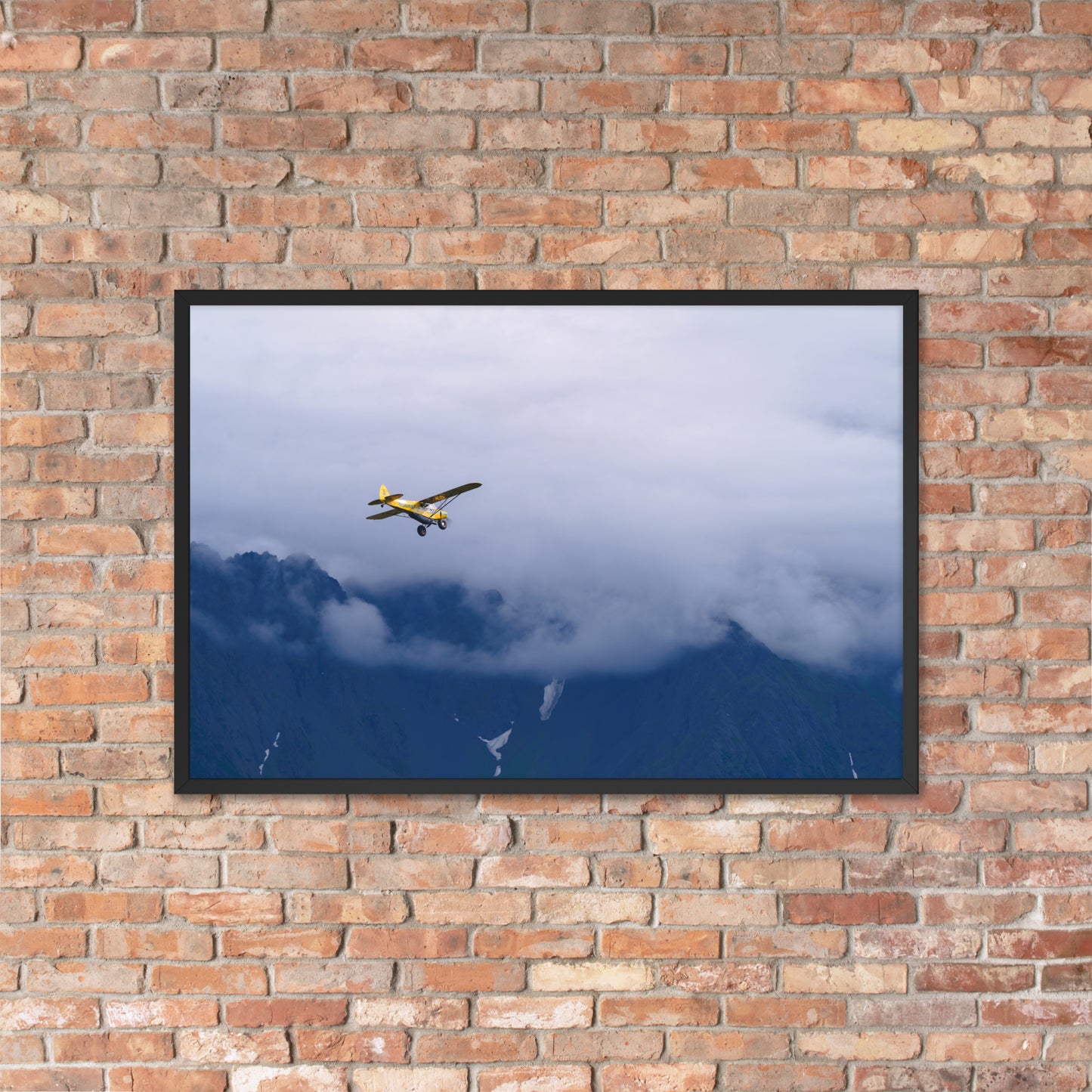 Airplane Framed poster