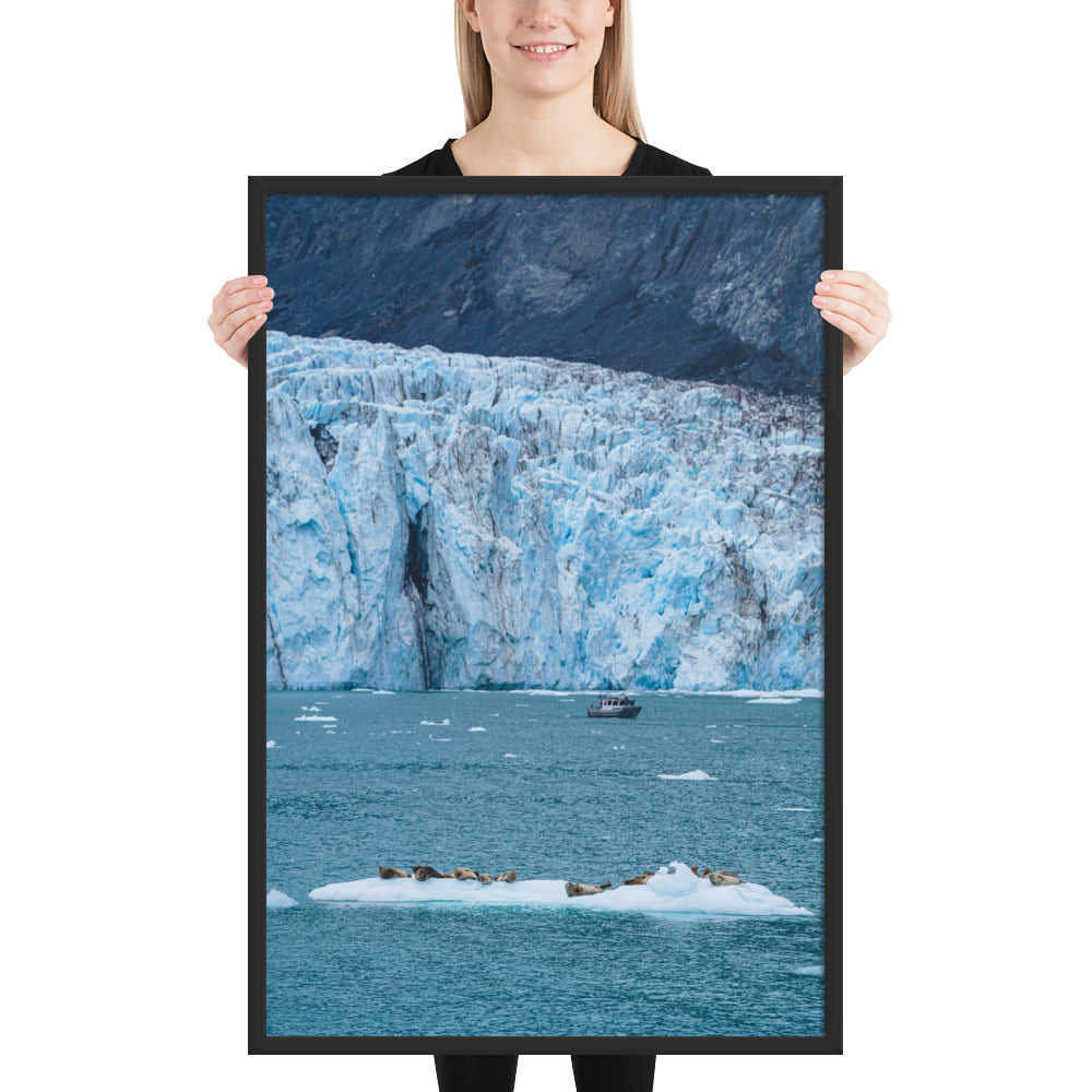 Glacier and seals Alaska Framed poster