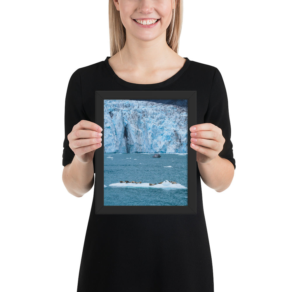 Glacier and seals Alaska Framed poster