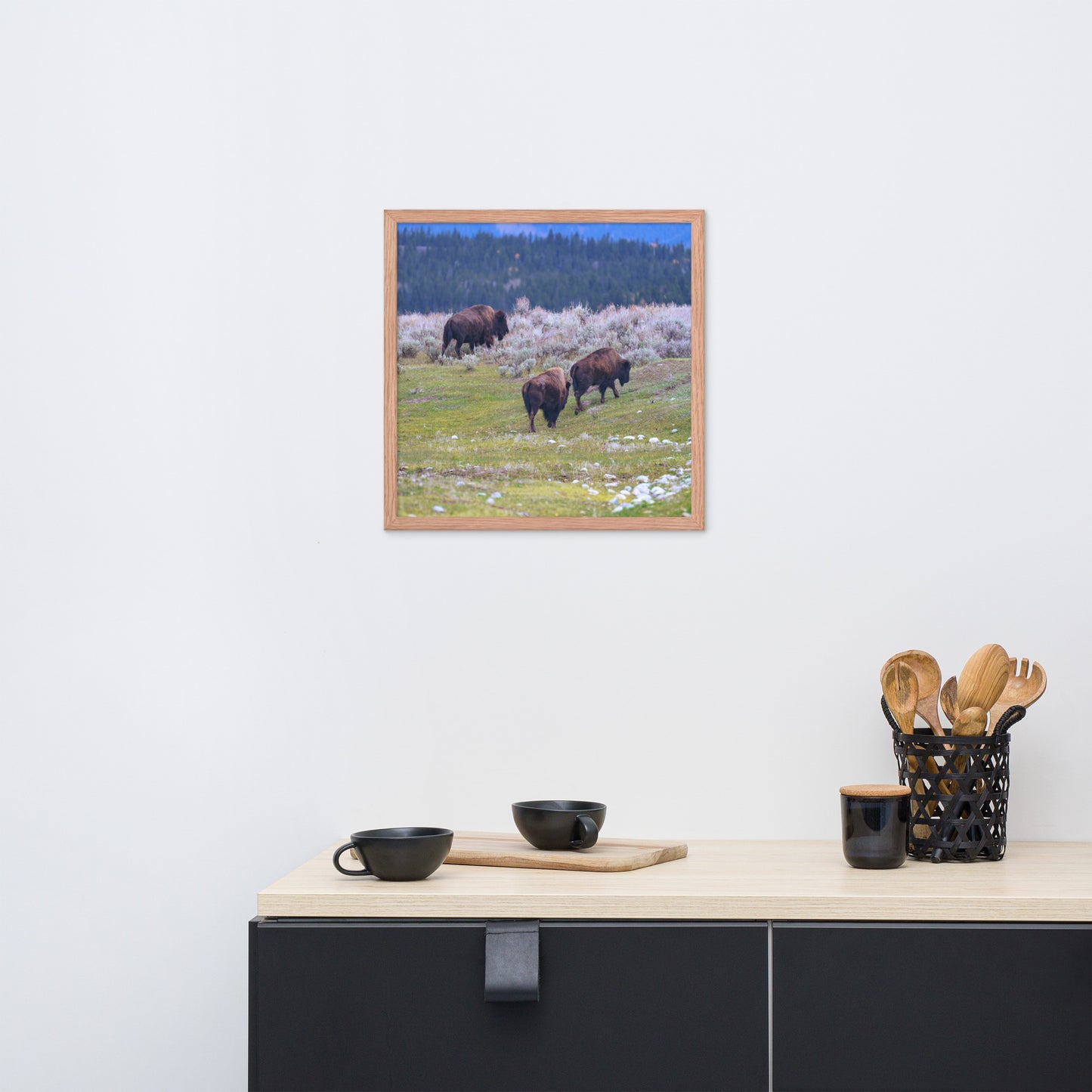 Yellowstone bison Framed poster