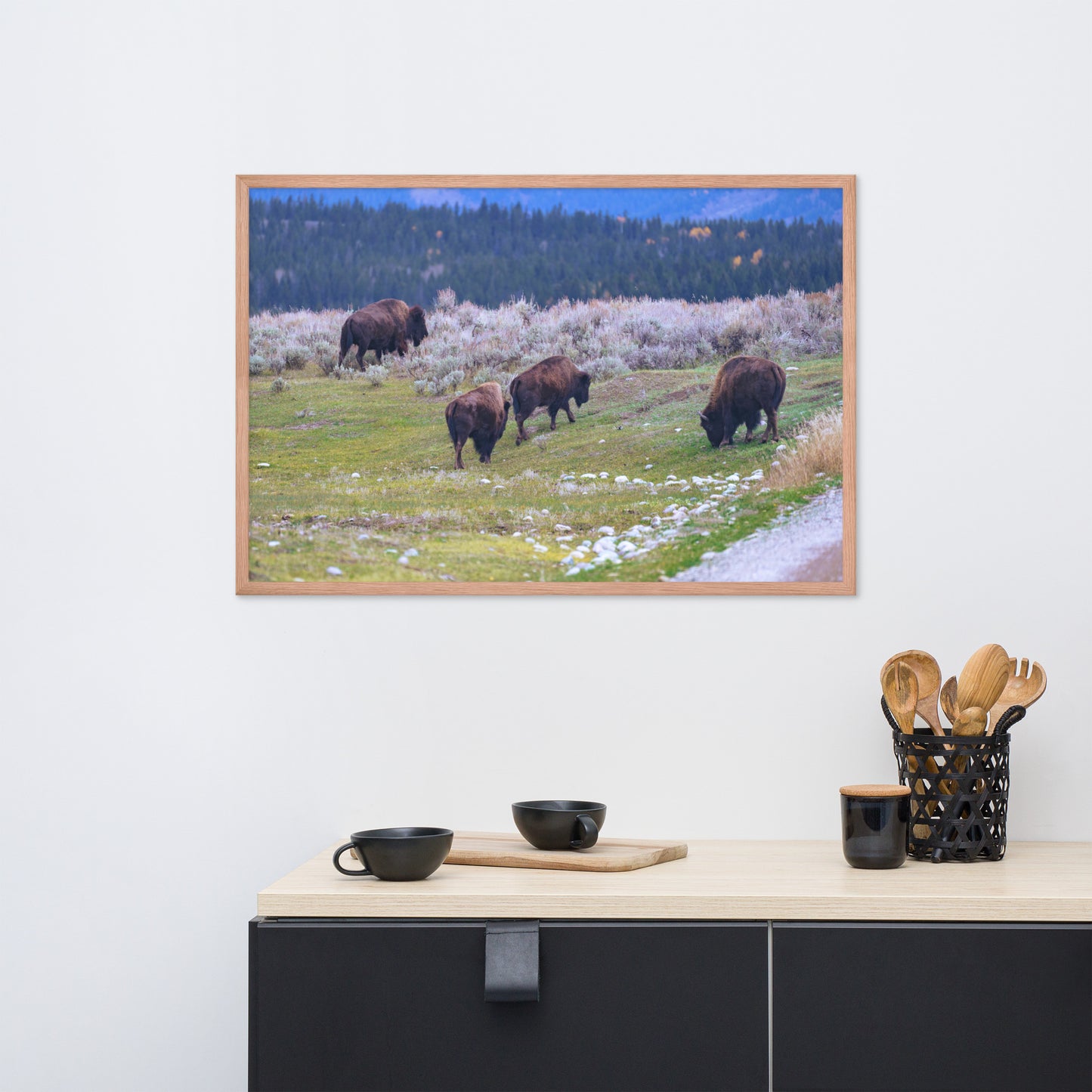 Yellowstone bison Framed poster