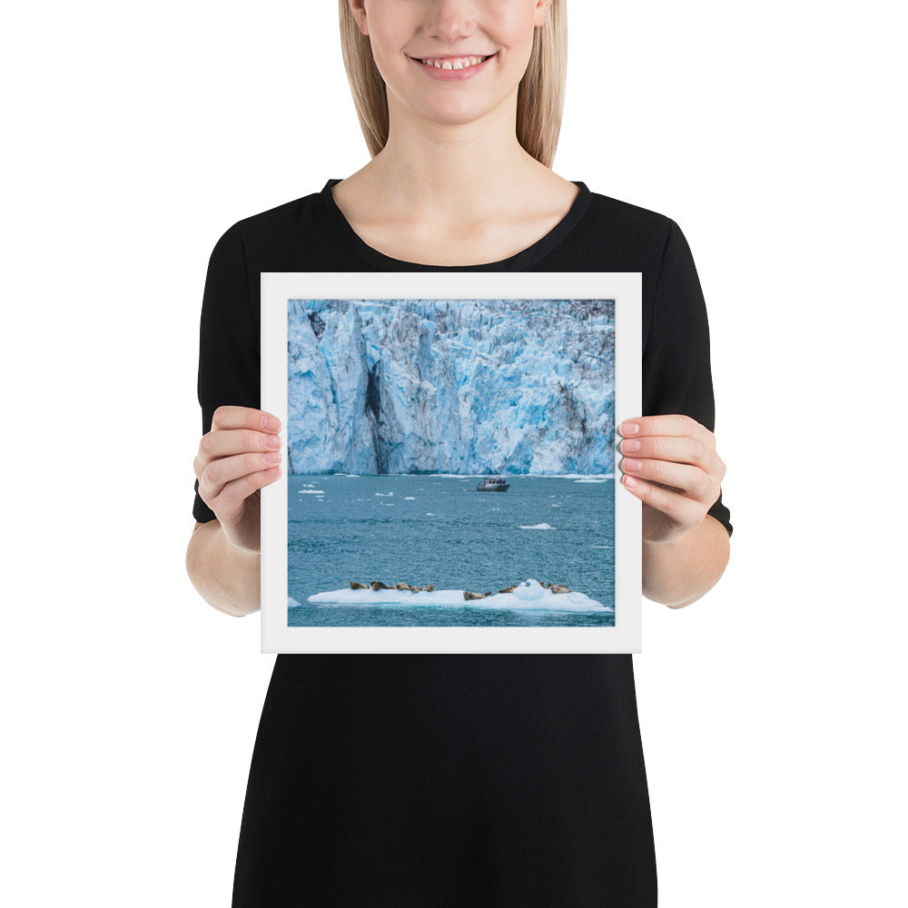 Glacier and seals Alaska Framed poster