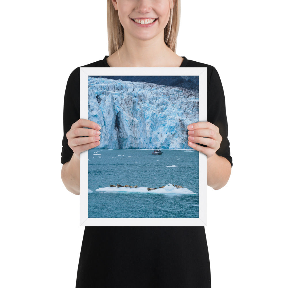 Glacier and seals Alaska Framed poster