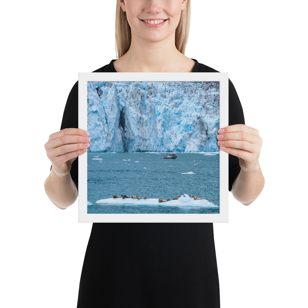 Glacier and seals Alaska Framed poster