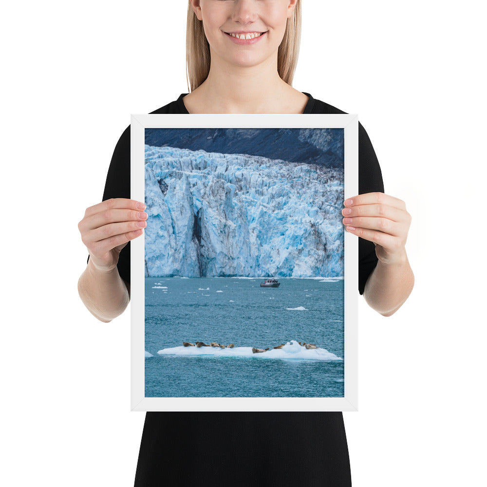 Glacier and seals Alaska Framed poster