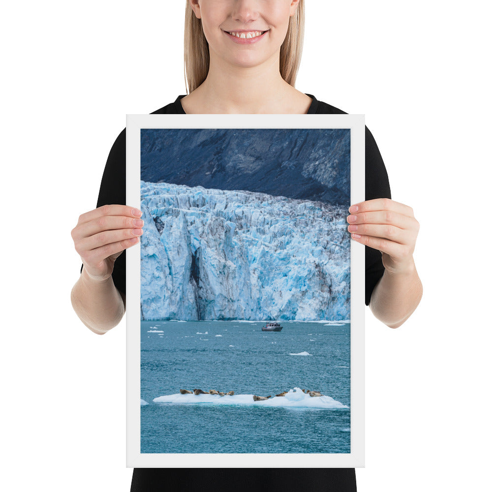 Glacier and seals Alaska Framed poster