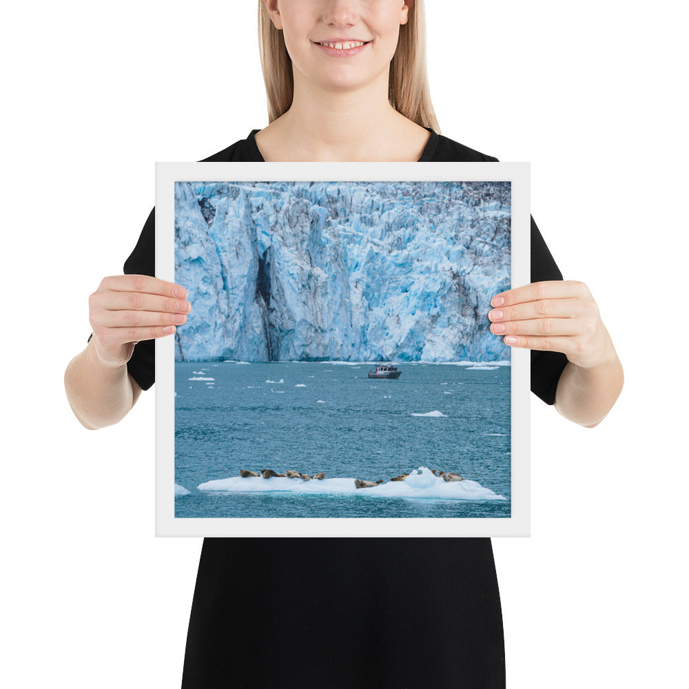 Glacier and seals Alaska Framed poster