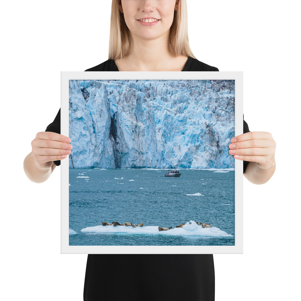 Glacier and seals Alaska Framed poster