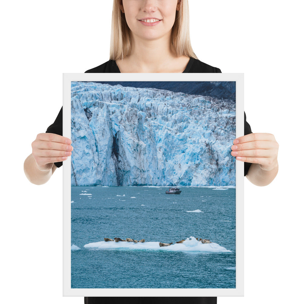 Glacier and seals Alaska Framed poster