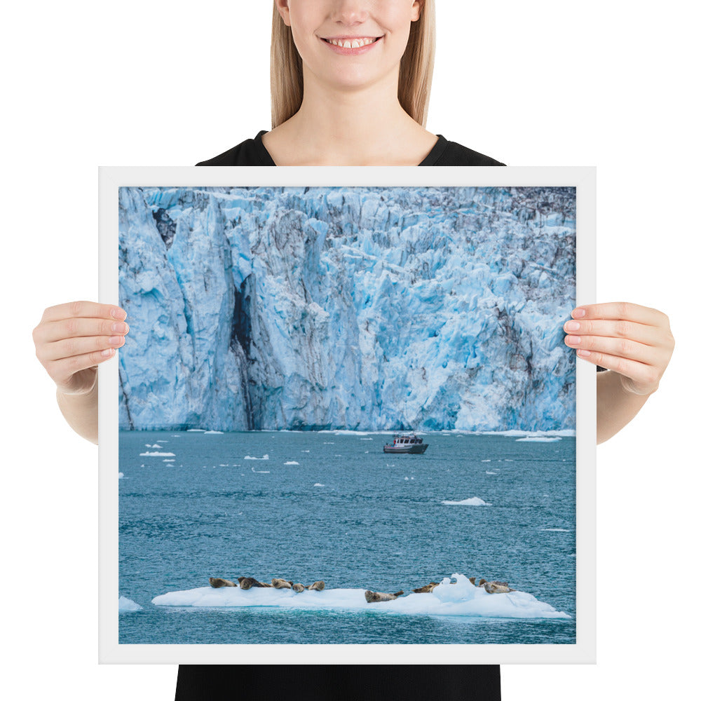 Glacier and seals Alaska Framed poster