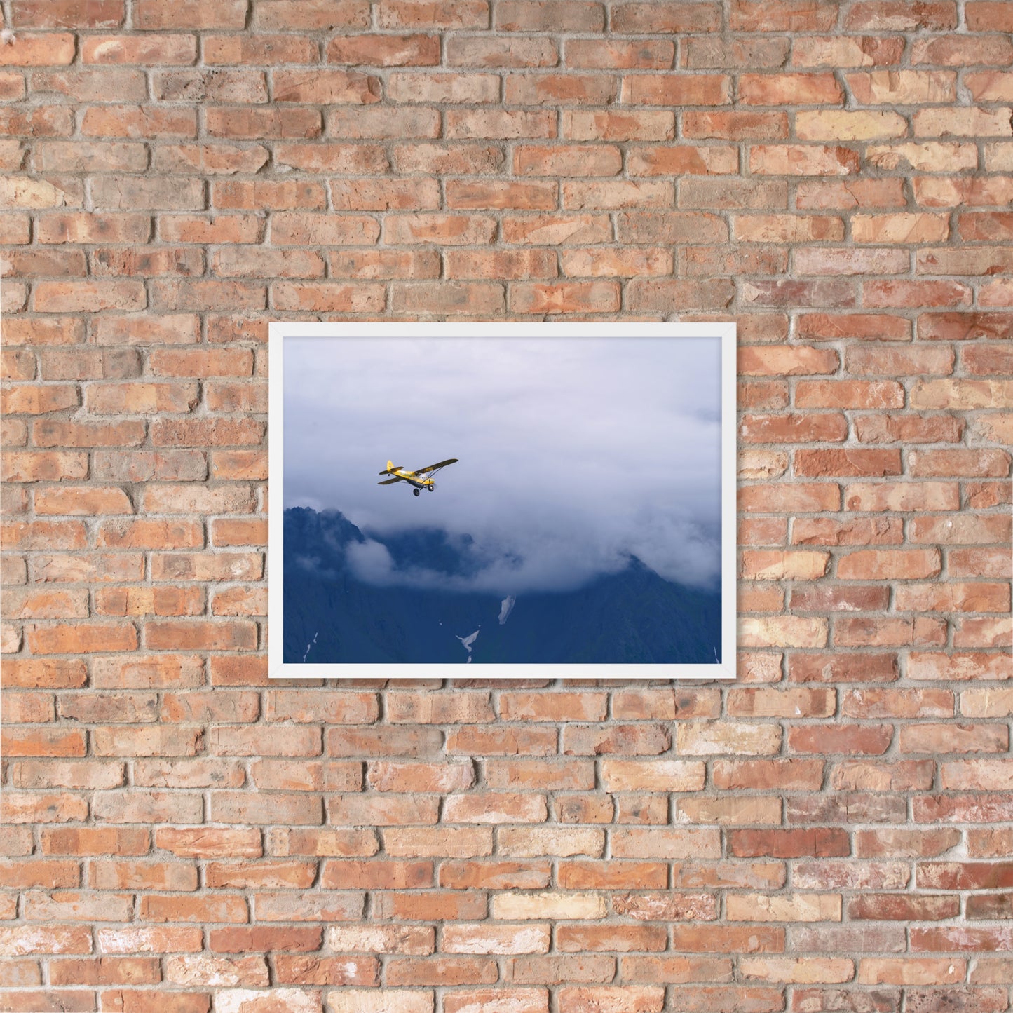 Airplane Framed poster