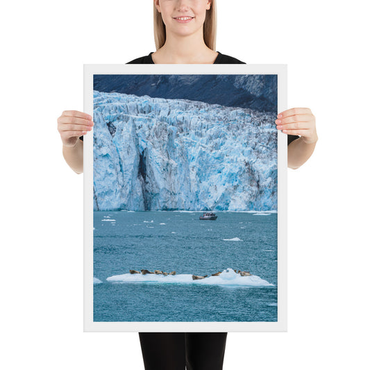 Glacier and seals Alaska Framed poster