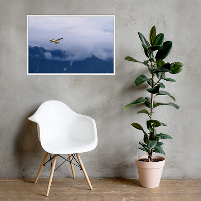 Airplane Framed poster