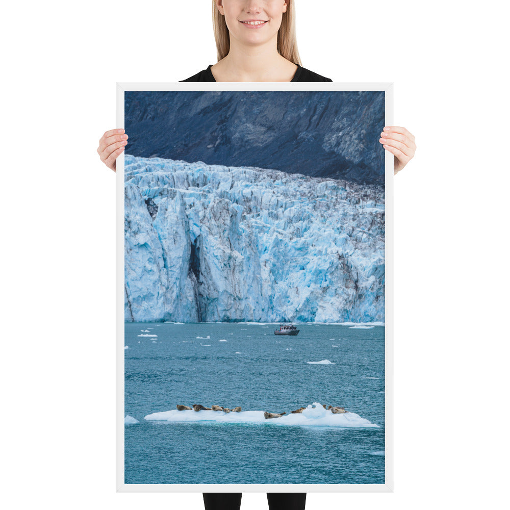 Glacier and seals Alaska Framed poster