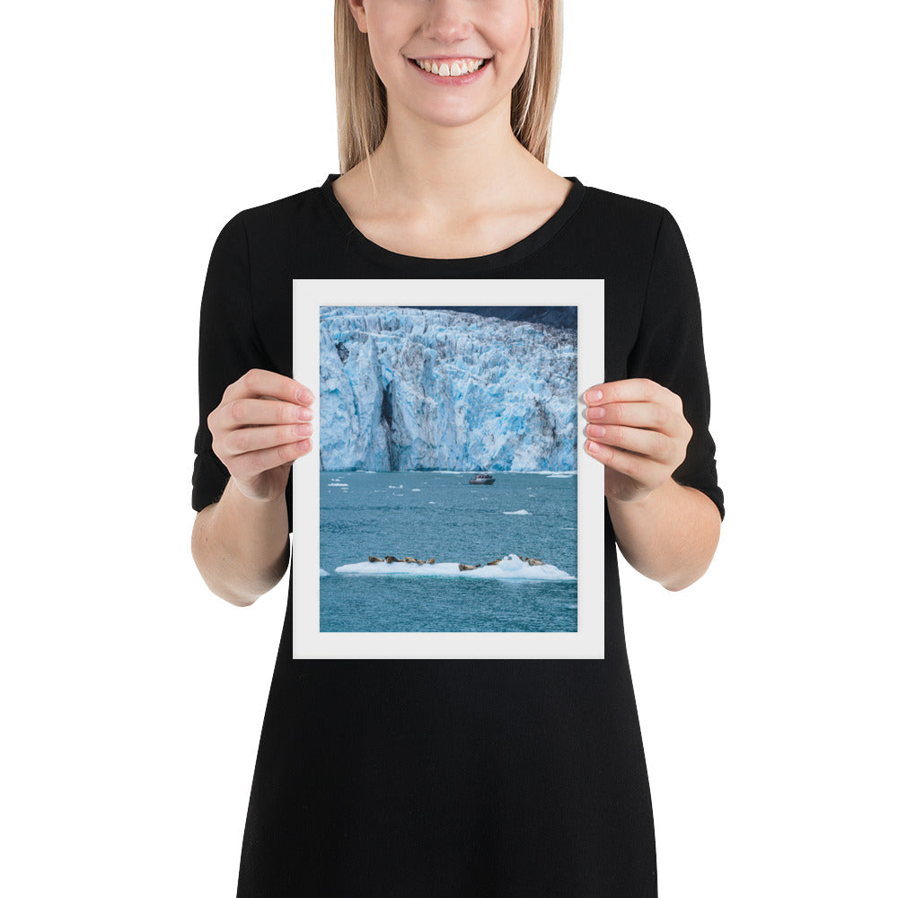 Glacier and seals Alaska Framed poster