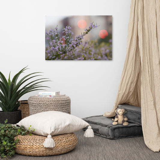 Evening Flowers Photo Canvas